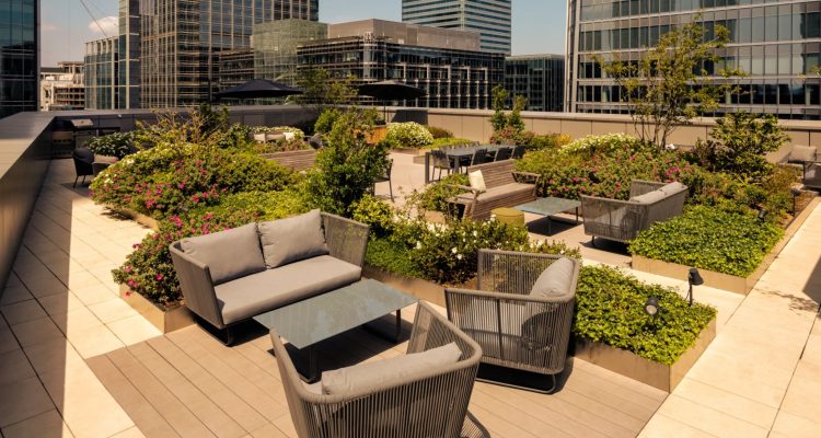 Roof Terrace & Dog Agility