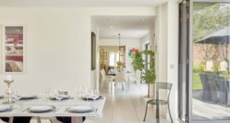 The-Chase82064-280x280